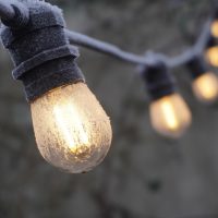 编辑示意头像：一位编辑在读读者来信的打印件，桌上放着标红的勘误清单与一支红笔，暖色台灯照着纸面，氛围认真